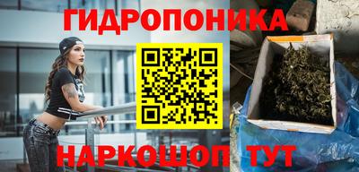 прущие грибы Среднеуральск